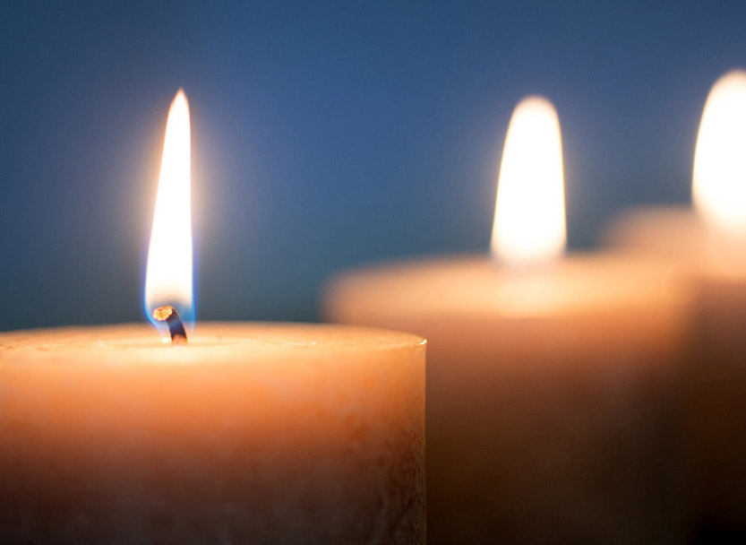 Trellis Lights Creating a Lasting Tribute Hospice & Palliative